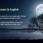 Moon Shayari In English