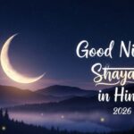 Good Night Shayari