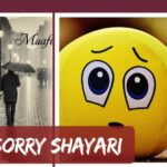 Sorry Shayari