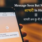 Message Seen But No Reply Shayari
